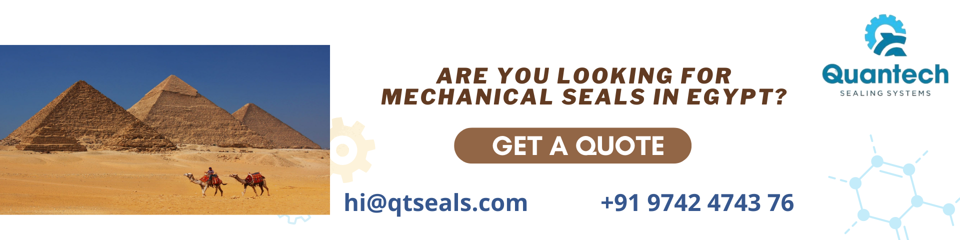 Mechanical Seals in Egypt