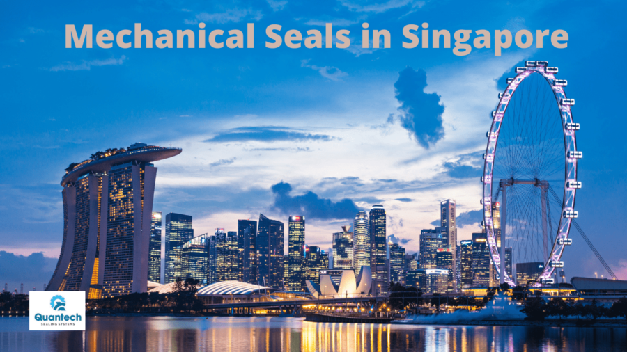 Mechanical Seals in Singapore