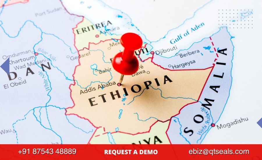 Mechanical Seals in Ethiopia